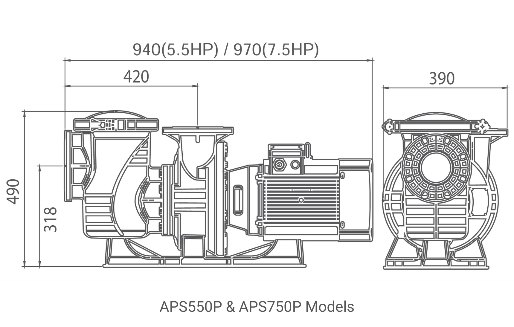 APS Pump Dimensions Image